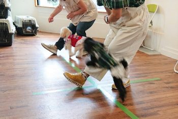 飼い主さんの足をジャンプする振付