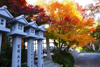 客殿前の紅葉と玉垣